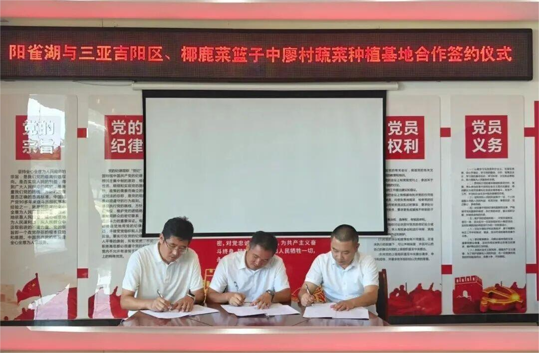 共建蔬菜種植示范基地 打造三亞特色農(nóng)產(chǎn)品品牌